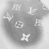 Front view of Louis Vuitton luxury clothing with monogram-inspired silhouette