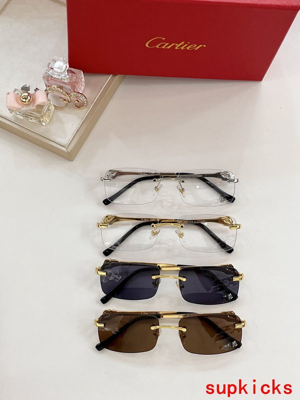 Lifestyle view of Cartier unisex sunglasses