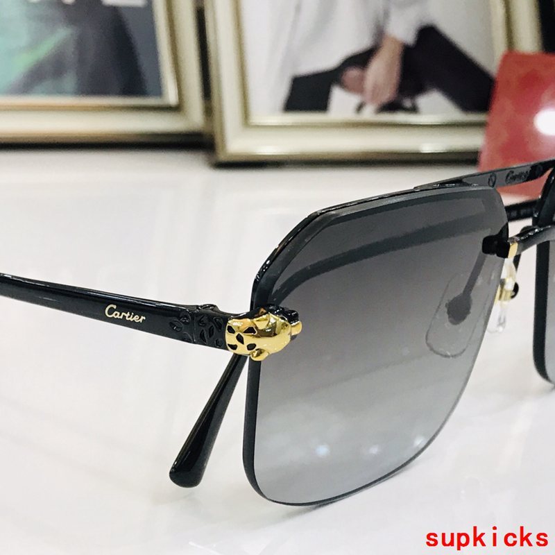 Front view of Cartier unisex sunglasses