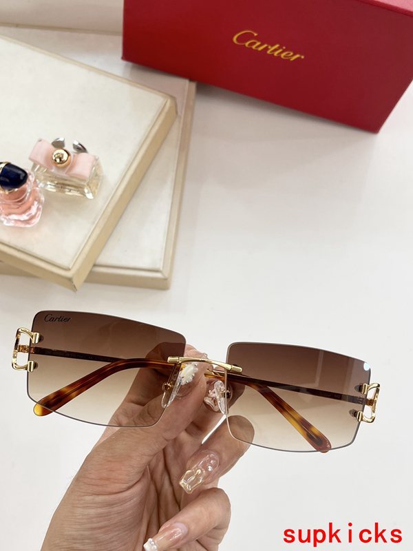 Lifestyle view of Cartier unisex sunglasses
