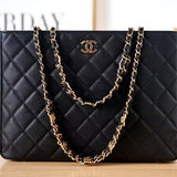 Zivas Charm Polished Finish Designer Handbag (Statement-Ready Design) – Detail View