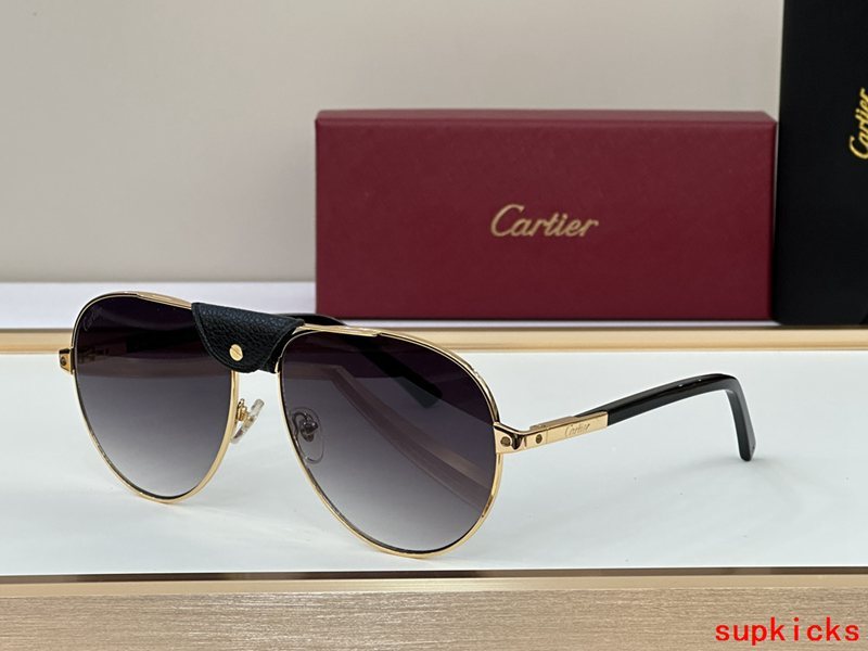 Side view of Cartier unisex sunglasses