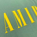 Amiri t-shirt close-up — premium authentic designer style