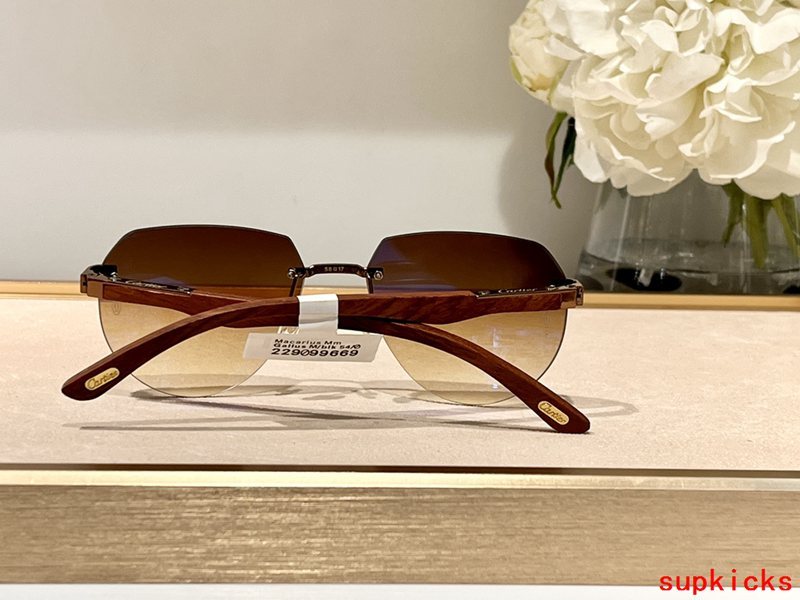 Side view of Cartier unisex sunglasses