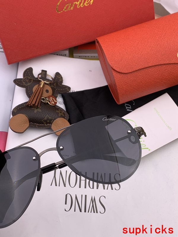 Side view of Cartier unisex sunglasses
