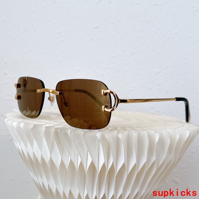 Lifestyle view of Cartier unisex sunglasses