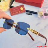 Close-up detail view of Cartier unisex sunglasses