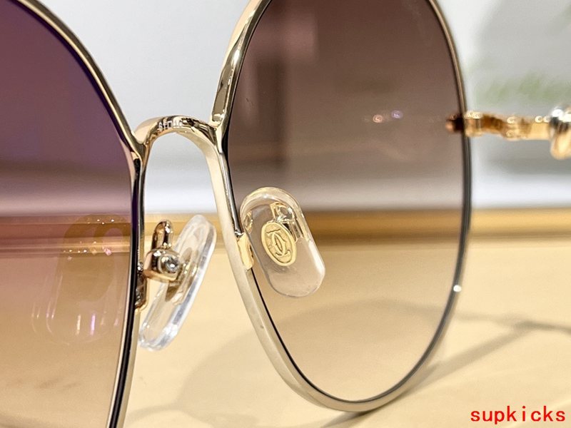 Side view of Cartier unisex sunglasses