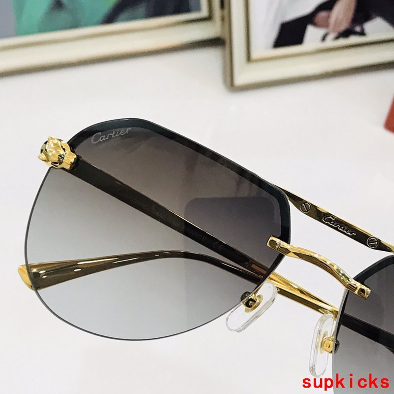 Side view of Cartier unisex sunglasses