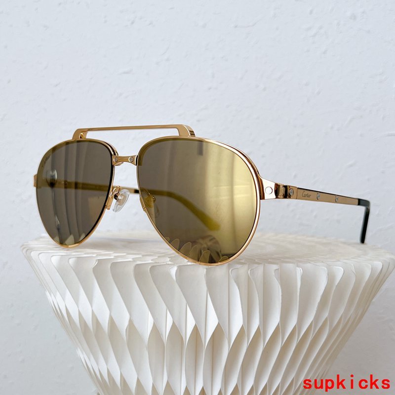 Side view of Cartier unisex sunglasses
