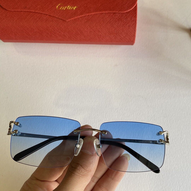 Side view of Cartier unisex sunglasses