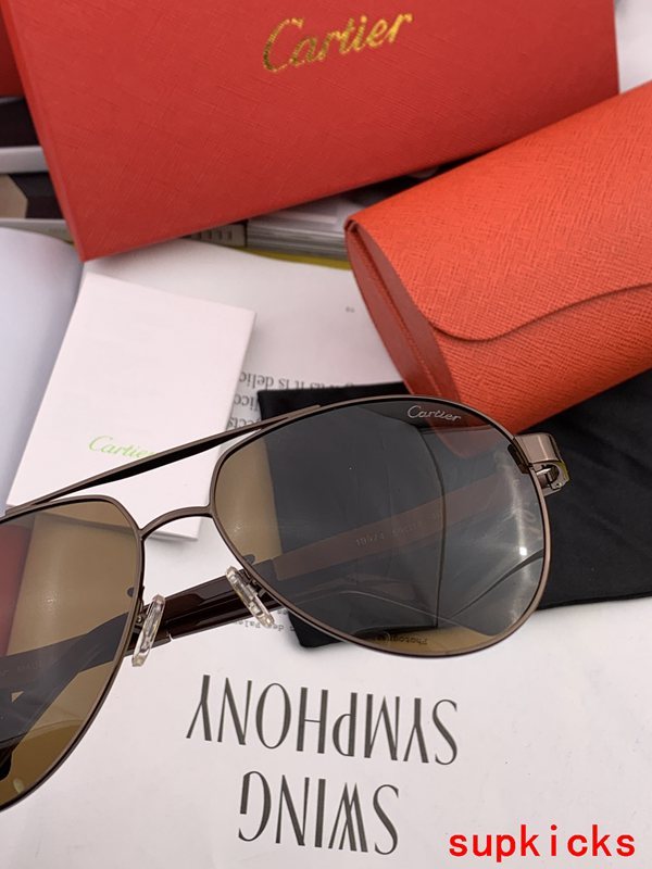 Full view of Cartier unisex sunglasses