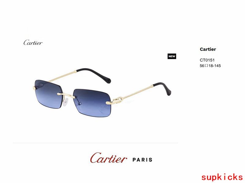 Full view of Cartier unisex sunglasses