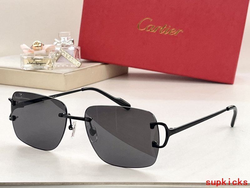Close-up detail view of Cartier unisex sunglasses