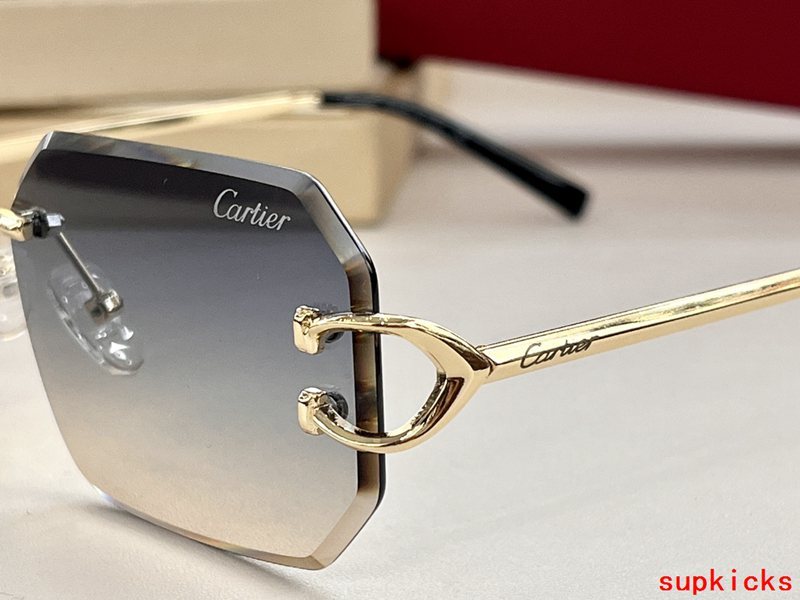 Side view of Cartier unisex sunglasses