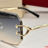 Side view of Cartier unisex sunglasses
