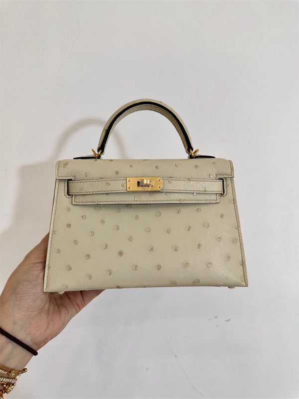  Sleek handbag front view