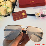 Side view of Cartier unisex sunglasses