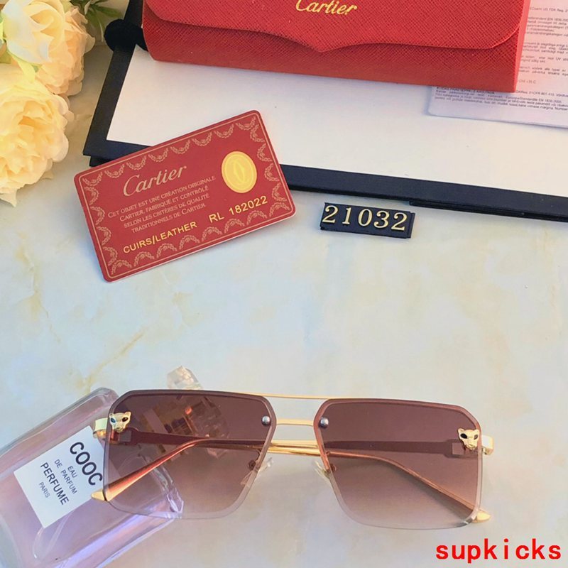 Front view of Cartier unisex sunglasses