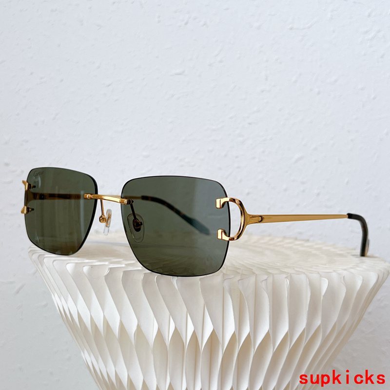 Close-up detail view of Cartier unisex sunglasses