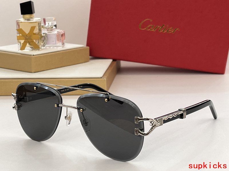 Full view of Cartier unisex sunglasses