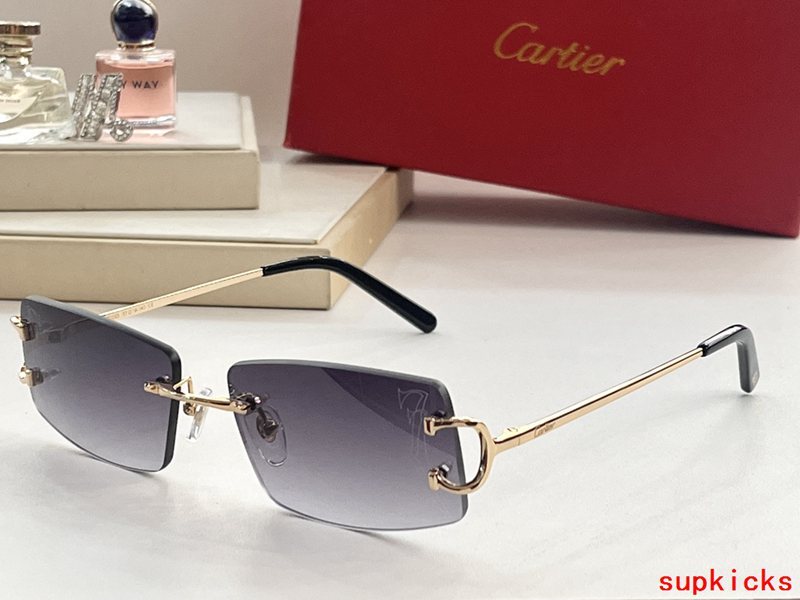 Front view of Cartier unisex sunglasses