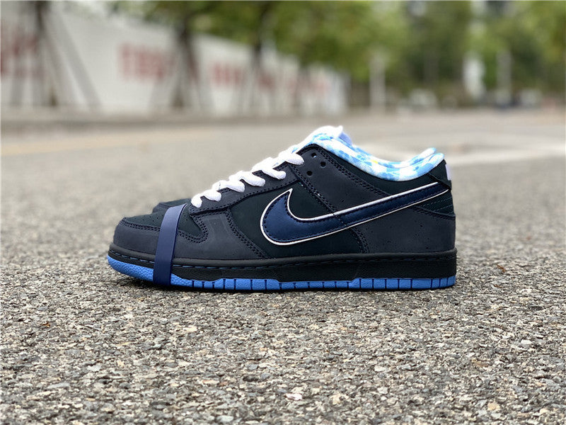 Nike Men's & Women's Premium Low-Top Trainers — Style 193 side view