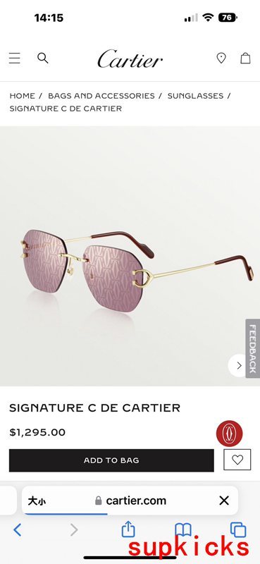 Side view of Cartier unisex sunglasses