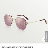 Side view of Cartier unisex sunglasses