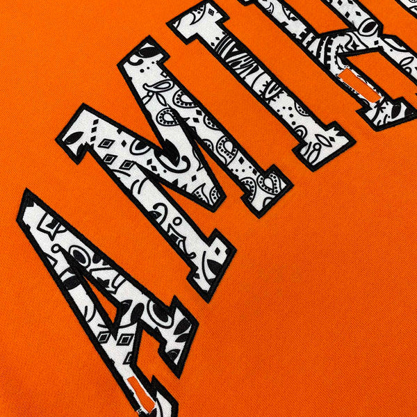 Amiri designer hoodie full view