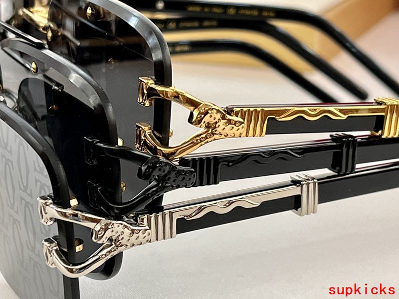 Close-up detail view of Cartier unisex sunglasses