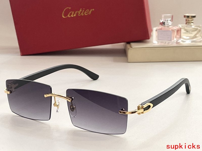 Close-up detail view of Cartier unisex sunglasses
