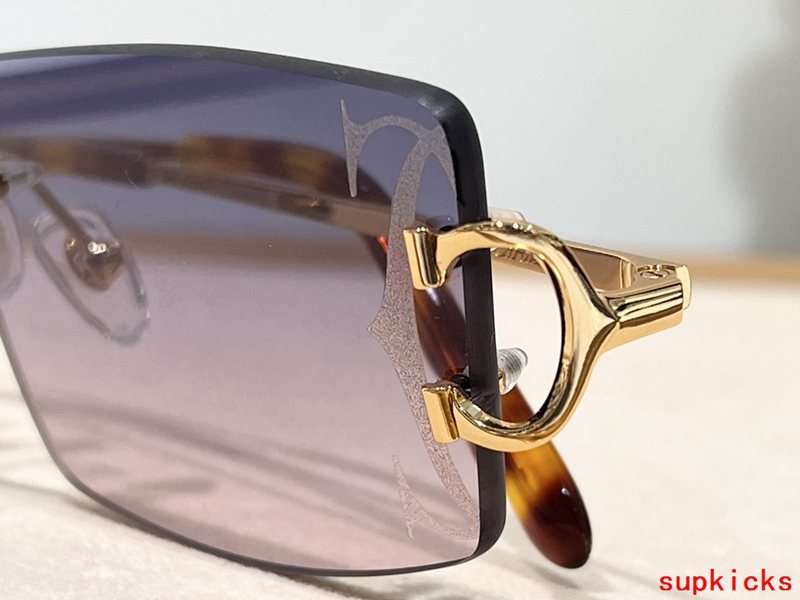 Close-up detail view of Cartier unisex sunglasses