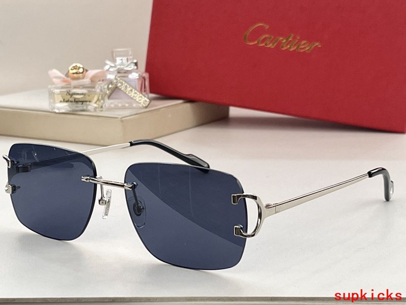 Side view of Cartier unisex sunglasses