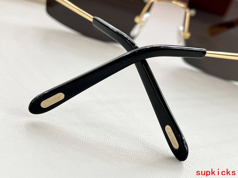 Front view of Cartier unisex sunglasses