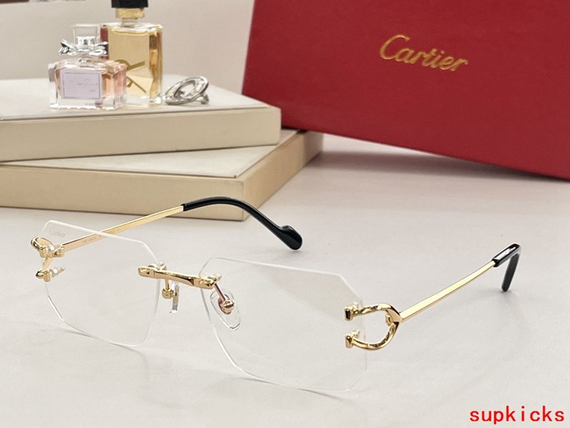 Front view of Cartier unisex sunglasses