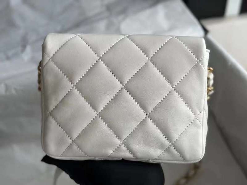 Zivas Charm Streamlined Design Luxury Handbag (Thoughtfully Structured Design) – Styled Look