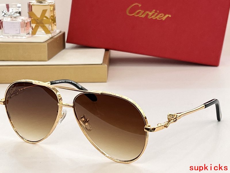 Close-up detail view of Cartier unisex sunglasses