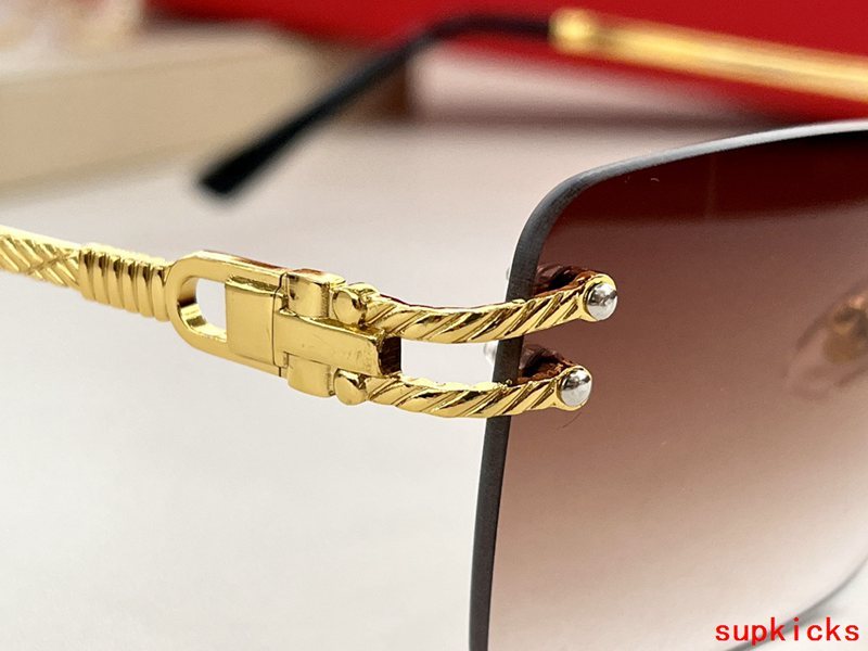 Side view of Cartier unisex sunglasses