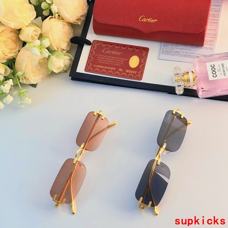 Lifestyle view of Cartier unisex sunglasses
