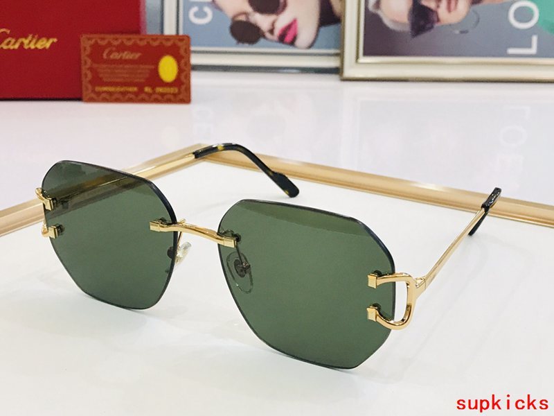 Close-up detail view of Cartier unisex sunglasses