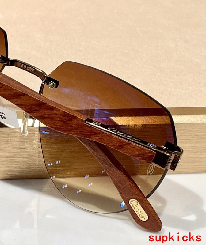 Close-up detail view of Cartier unisex sunglasses