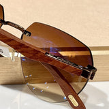 Close-up detail view of Cartier unisex sunglasses