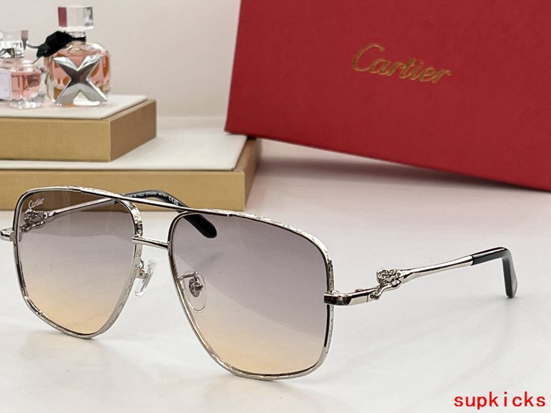 Close-up detail view of Cartier unisex sunglasses