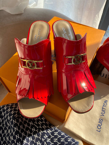 Louis Vuitton luxury shoes front view — premium authentic designer style