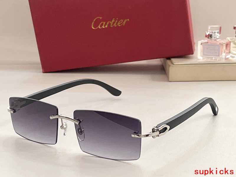 Full view of Cartier unisex sunglasses