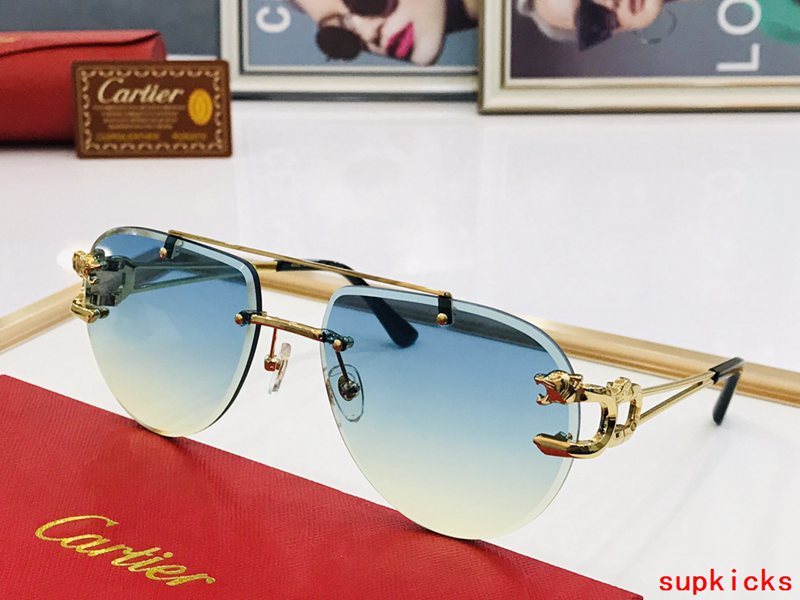 Full view of Cartier unisex sunglasses