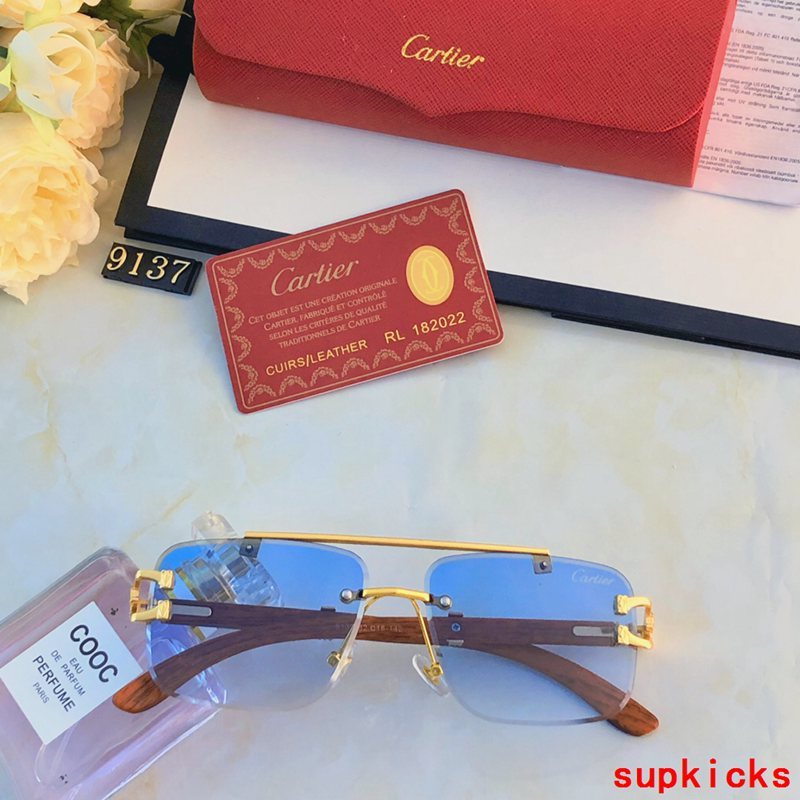 Front view of Cartier unisex sunglasses