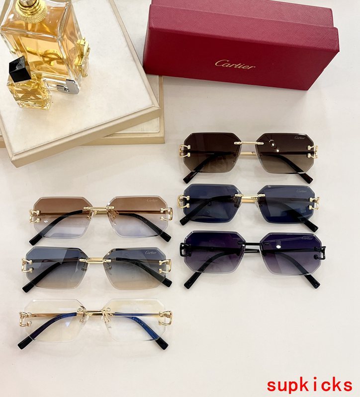 Lifestyle view of Cartier unisex sunglasses