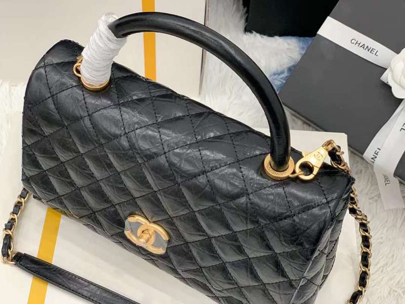 Zivas Charm Polished Finish Everyday Handbag (Structured Everyday Essential) – Back View